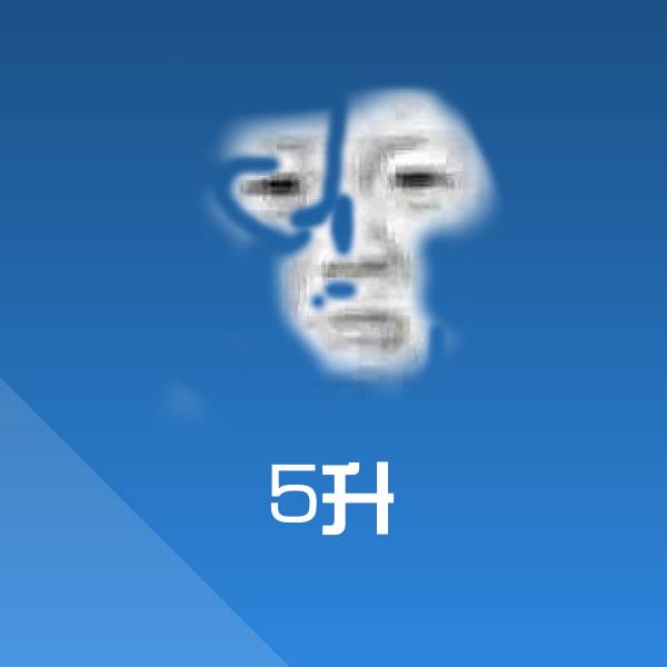 5升聊天表情