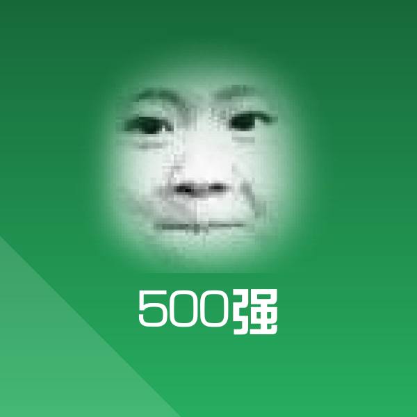 500强聊天表情