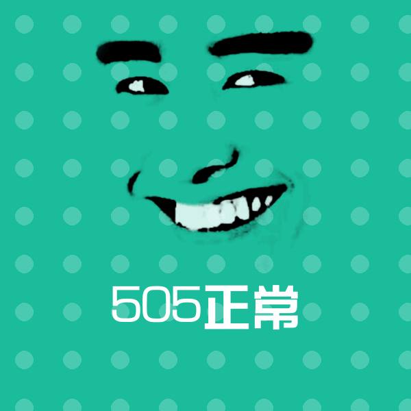 505正常表情包