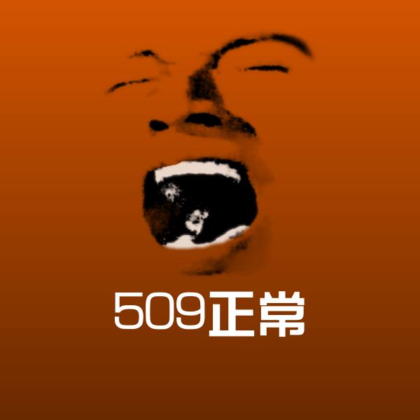 509正常聊天表情