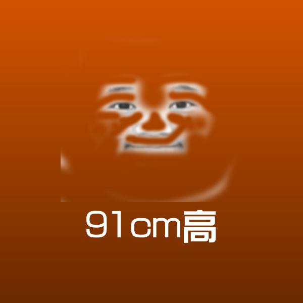 91cm高表情包