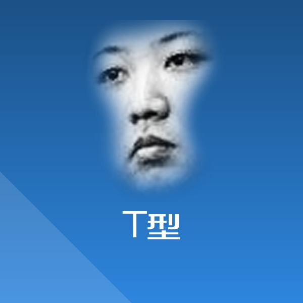 T型聊天表情