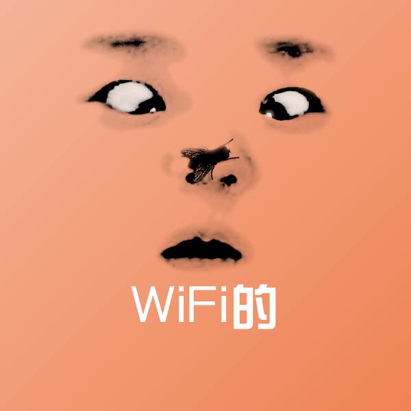 WiFi的斗图图片