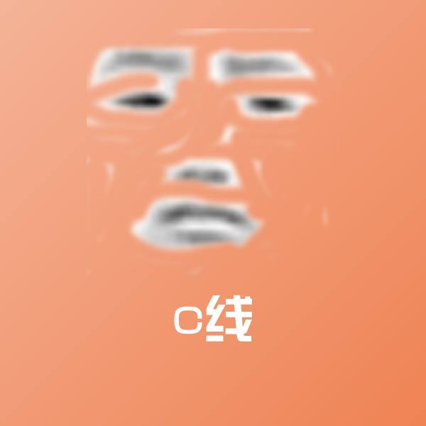 c线沙雕表情包