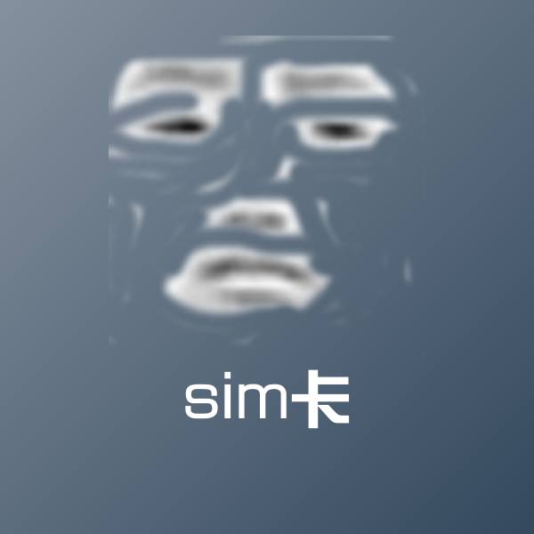 sim卡沙雕表情包